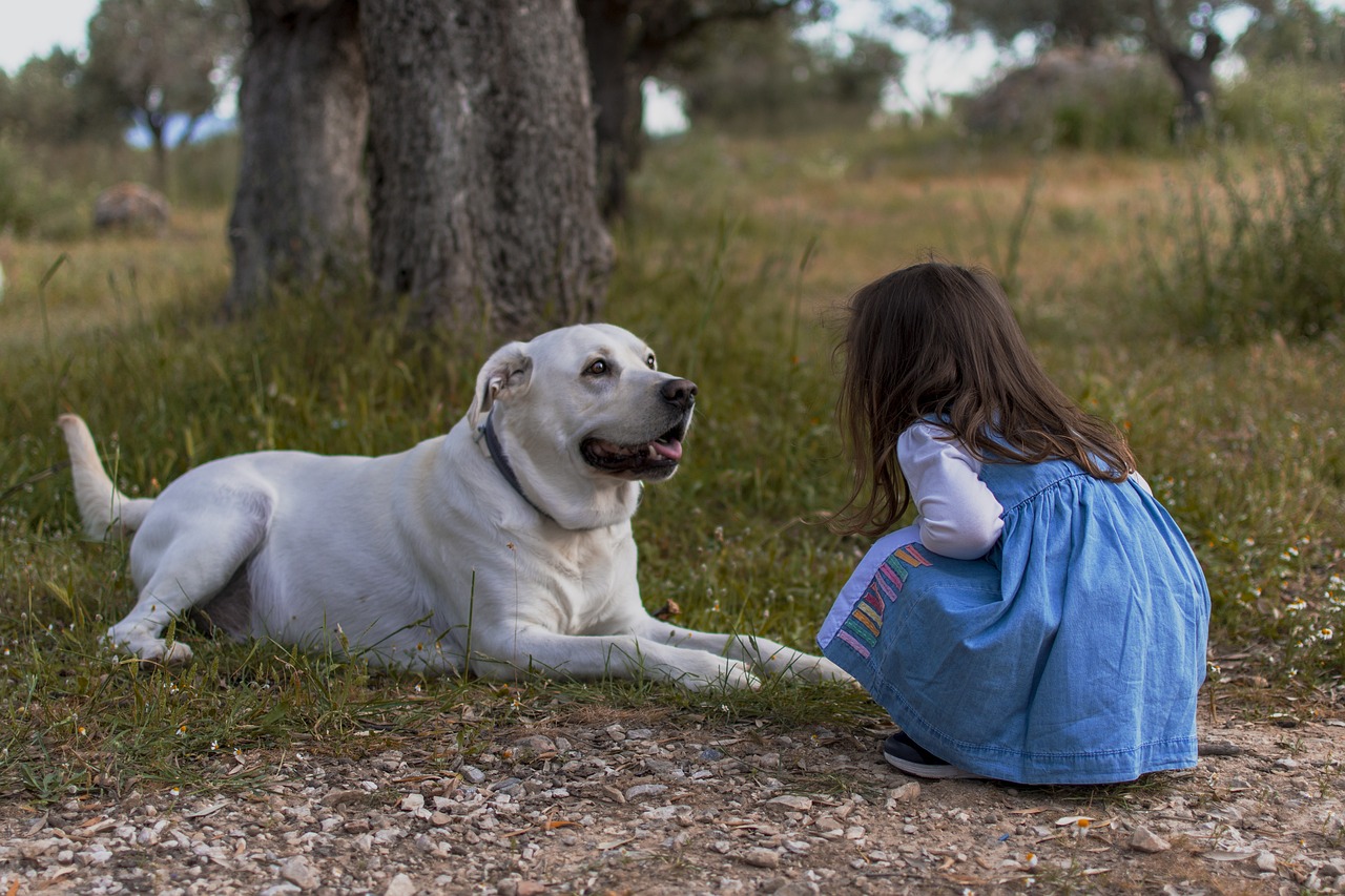 犬と女の子が話している